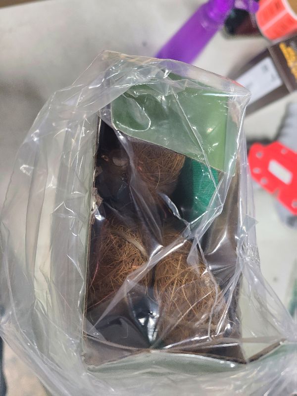 Photo 1 of 2 Pack 48'' Bendable Moss Pole Monstera Plant Support for Climbing Indoor Plants - Stakes for Potted Climbers - Tall Sticks Indoor Trellis for Houseplants - Accessories for Monstera Pot