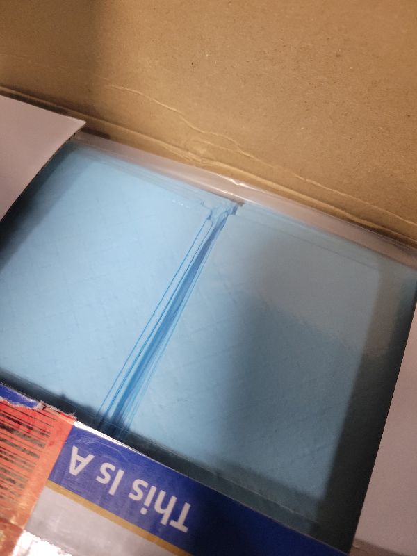 Photo 1 of 100 Count Disposable Beds Pads,23"x36" Waterproof Adults Incontinence Chucks Underpads,Absorbent Leakproof Pee Pads for Kids,Elderly,Extra Large Dog Puppy Training Pad,Baby Changing Liner