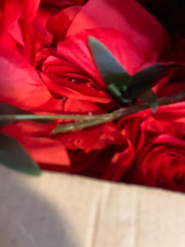 Photo 1 of Daifunli 4 Pcs Red Artificial Rose Vine Hanging Faux Flowers Garland for Wedding Anniversary Birthday Party Background Arch Garden Home Wall Room Decor