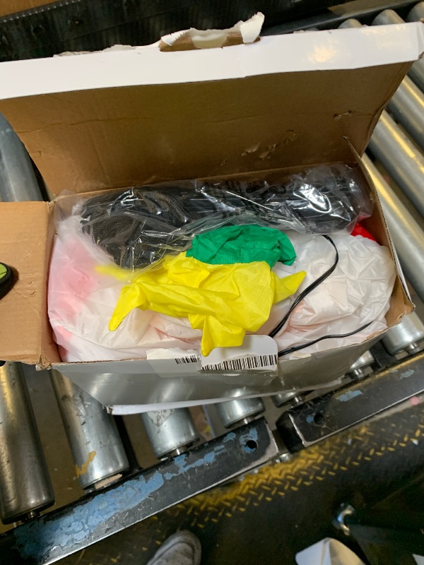 Photo 1 of  Christmas BLOW UP DECOR 