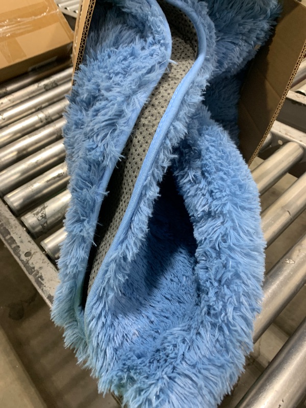 Photo 1 of blue ultra soft rug
size unknown