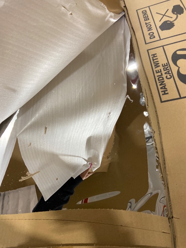 Photo 1 of brisafe 60" x 20" Full Length Rolling Floor Mirror on Lockable Wheels, Rectangular Shatter-Resistant Safety Glass, for Home Dance Studio & Yoga, Black Metal Frame and Stand