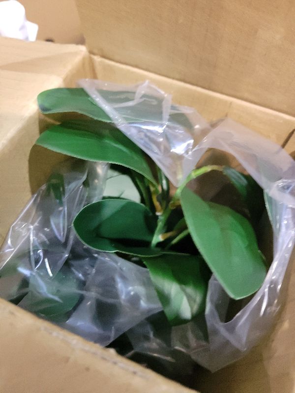 Photo 1 of 12.6" Fake Plants in Brown Ceramic Vase Real Looking and Touching Evergreen Ficus Leaf Faux Plant indoor for Book Shelf Bathroom Office Desk Kitchen Counter Bedroom Small Space Artificial Plant Decor