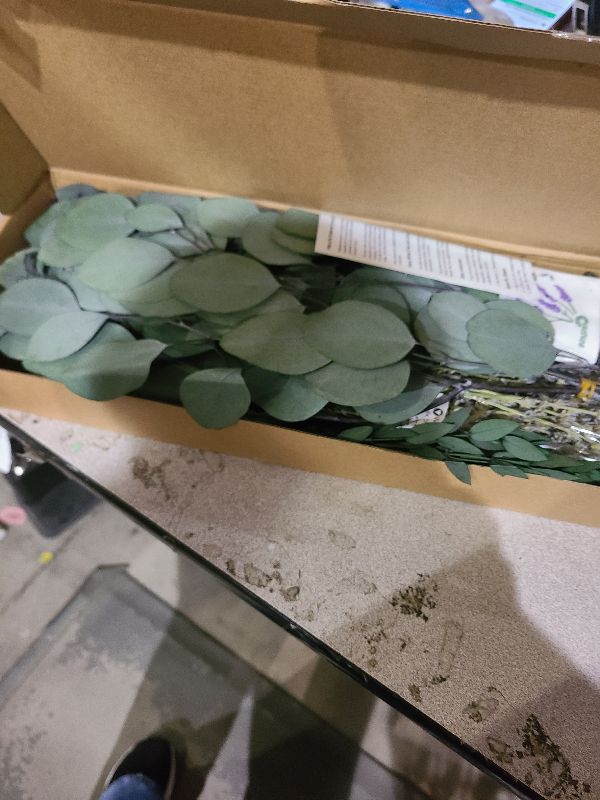 Photo 1 of 120+ Pcs Mixed Dried Eucalyptus & Lavender Flowers for Shower, Preserved Natural Eucalyptus Leaves for Wall Hanging, Plant Fragrance, Dried Florals for Vase Fillers, Wedding, Green Bathroom Decor