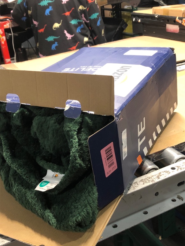 Photo 1 of ***STOCK PHOTO FOR REFERENCE ONLY***Inhand Fleece Throw Blankets, Super Soft Flannel Cozy Blankets for Adults, Washable Lightweight Blanket for Couch Sofa Bed Office, Warm Plush Blankets for All Season (50"×60", Green)