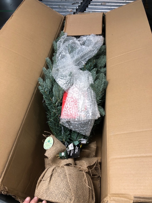 Photo 2 of National Tree Company 4 ft Pre-Lit Everyday Collection Mini Artificial Christmas Tree, 150 Clear Lights, 643 Tips, Burlap Base, Green