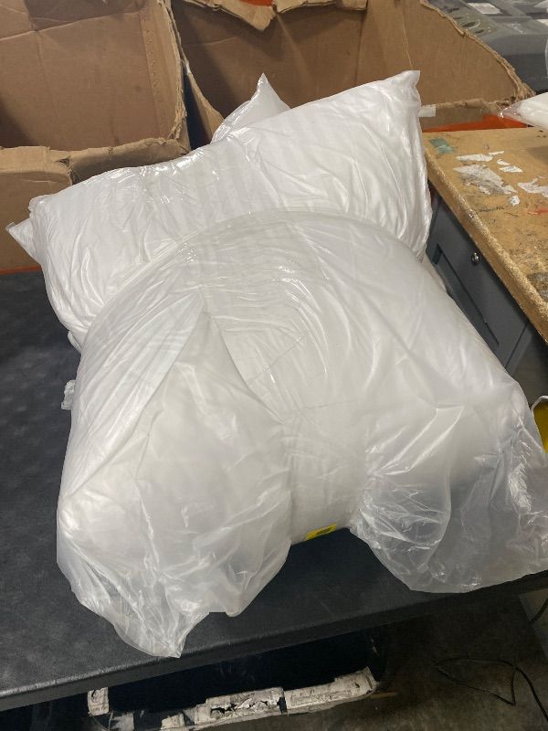 Photo 1 of 2 pc pillows