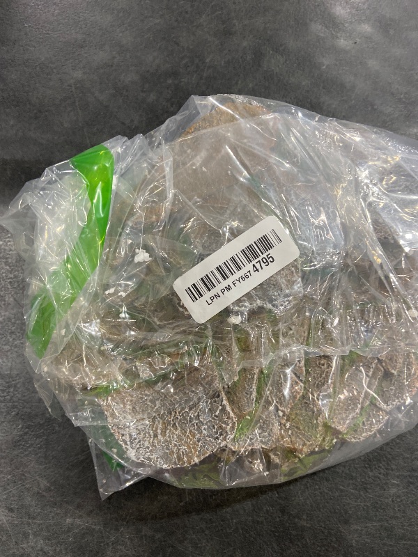 Photo 1 of PENN-PLAX (REP183) Reptology Shale Scape Step Ledge & Cave Hideout – Decorative Resin for Aquariums & Terrariums – Great for Reptiles, Amphibians, and Fish – Large