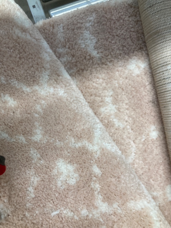 Photo 1 of **NEED SOME CLEANING**Livabliss Anita Bohemian Shag Area Rug,7'10" x 10', Blush