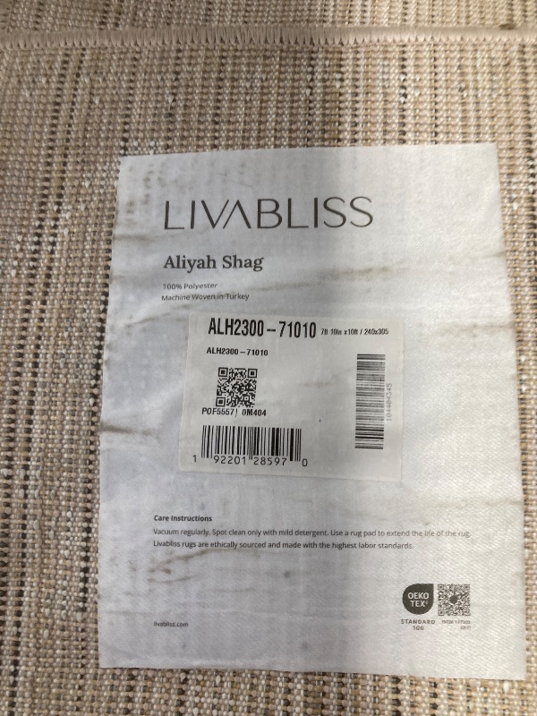 Photo 1 of **NEED SOME CLEANING**Livabliss Anita Bohemian Shag Area Rug,7'10" x 10', Blush