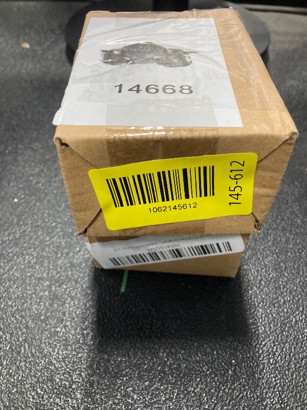 Photo 1 of ++2 PACK++Needzo Festive Christmas Ornament, Squirrels in Sweaters Holding Acorn, Woodland Themed Holiday Decoration, 2.25 Inches