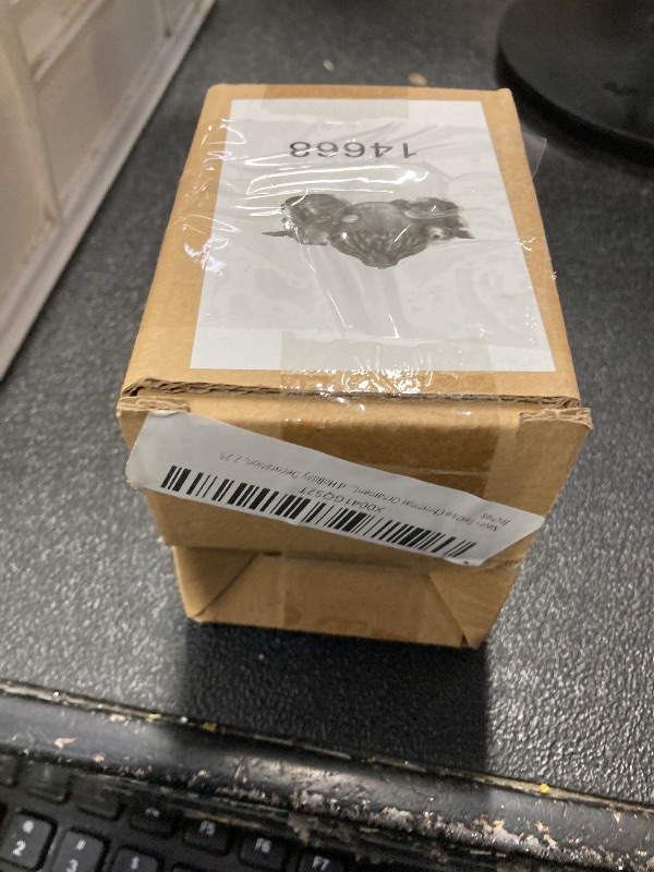 Photo 1 of ++2 PACK++Needzo Festive Christmas Ornament, Squirrels in Sweaters Holding Acorn, Woodland Themed Holiday Decoration, 2.25 Inches