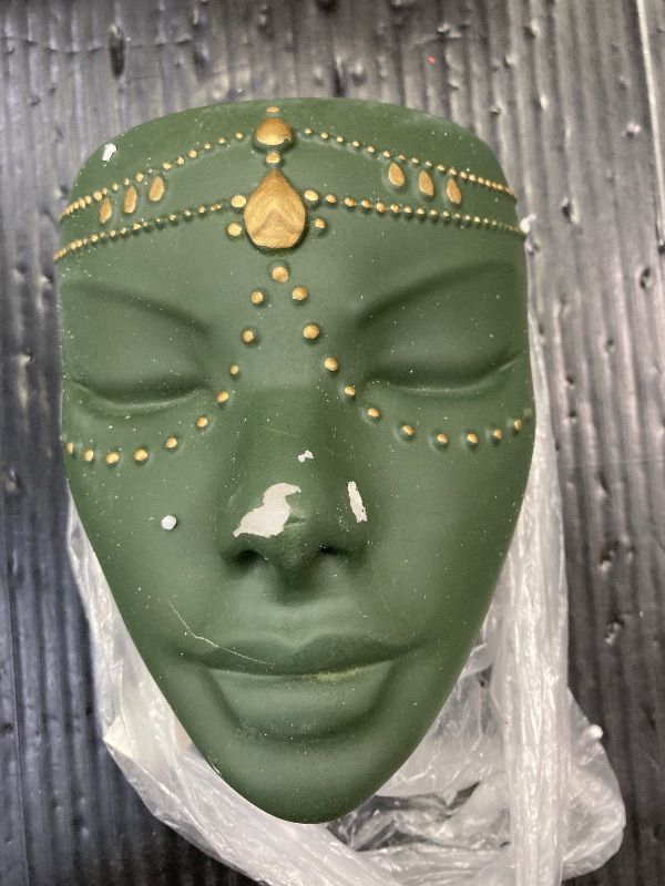 Photo 1 of ***NEEDS AN ARTISTIC HAND TO REPAIR***Bossa Linda Head Planter - Indoor & Outdoor Home Decor Gifts for Plant Lovers - for Flat Surface or Wall Mount - Unique Face Planter for Flowers, Succulents, & More (7 inch, Serena Design, Green)***NEEDS AN ARTISTIC H