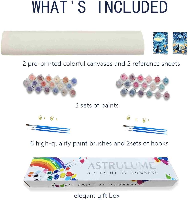 Photo 1 of 
ASTRULUME 2 Pack Paint by Numbers Kit for Adults