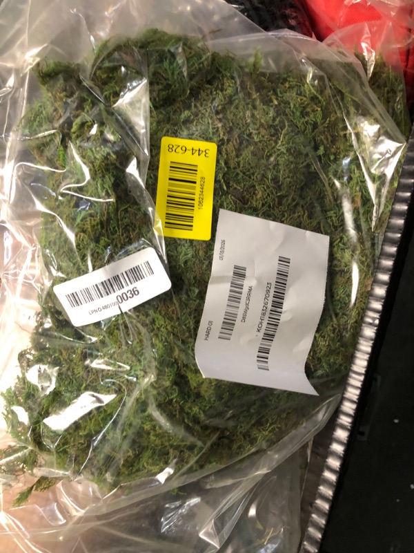 Photo 1 of [Upgraded] DUSPRO Green Moss for Crafts, Real Forest Moss Potted Plants, Decorative Mosses for Table Centerpieces Wedding Christmas Fairy Party Decor, Indoor Planters, DIY Project (5 oz)