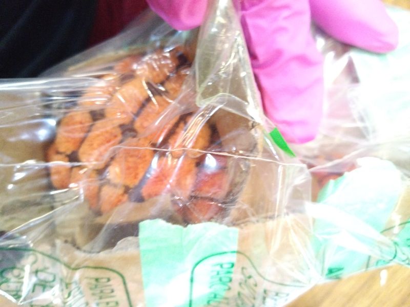 Photo 1 of 2023 New Indestructible Robust Dino, Durable Interactive Robustdino Dog Toy, Squeaky Dog Toys For Aggressive Chewers, Soft Dog Toys, Unbreakable Stuffed Plush Dog Toy Aggressive Chewers (A ORANGE)