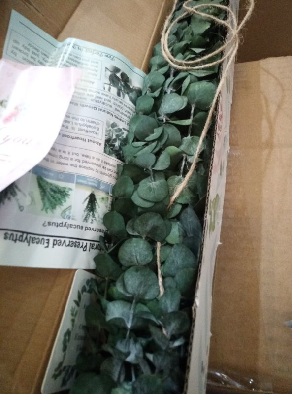 Photo 1 of 11 PCS Real Dried Eucalyptus Stem for Shower & Bathroom Decor - 17'' Large Natural Fresh Eucalyptus Leaves Hanging Plants, Shower Stuff Green Home Vase Decor, DIY