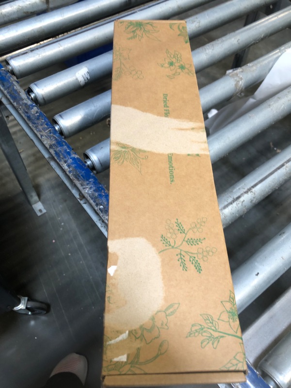 Photo 1 of (20Pcs) Dried Eucalyptus Stems - Red, Real Long Eucalyptus, Dried Flowers for Vase, 17" Floral Arrangement, Wedding (Blue)