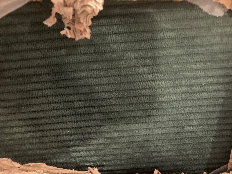 Photo 1 of (3/22/2026 ***JUST THE COUCH***) Merax Farmhouse Multi-Functional Murphy Bed with Sofa, Desk & Storage Cabinet,Solid Wood Foldable Wall Bed w/USB Charging Station Space Saving/No Box Spring Needed/Full, Beige + Green