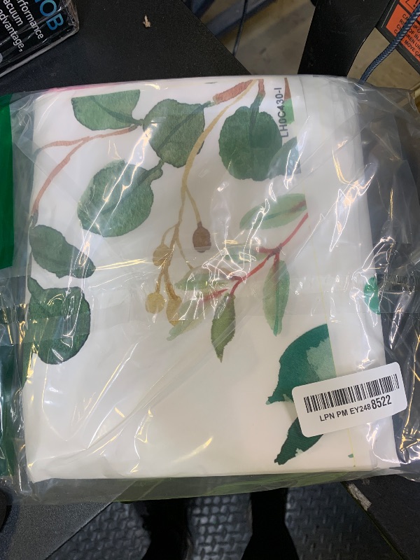 Photo 1 of 6x4ft It's a Boy Backdrop Baby Shower Cartoon Dinosaur Cactus and Eucalyptus Leaves Photography Background Kids Party Supplies Cake Table Decor Banner Photobooth Props Gift Favors