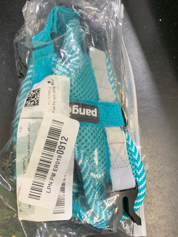 Photo 1 of pangdi Cat Harness and Leash Escape Proof Extra Large Kitten Harness Maine Coon Cat Vest for Walking Travel, Turquoise, XL