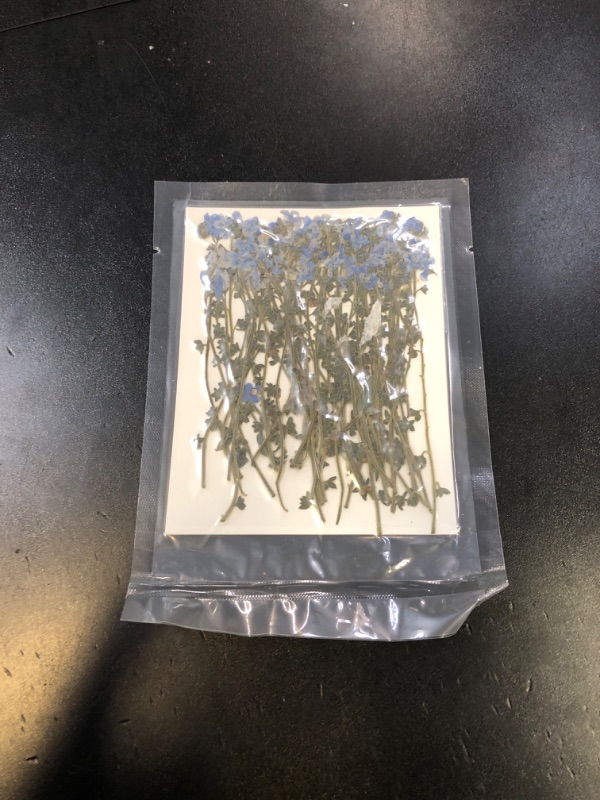 Photo 1 of 50 Pcs Natural Forget Me Not Pressed Dried Flowers Blue Don't Forget Me Dried Flower Real for Resin Jewelry Candle Card Making Nail Art DIY Home Decoration