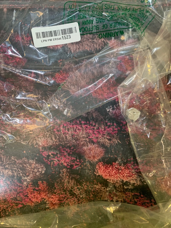 Photo 1 of Even In Arcadia (Amazon Exclusive Edition)