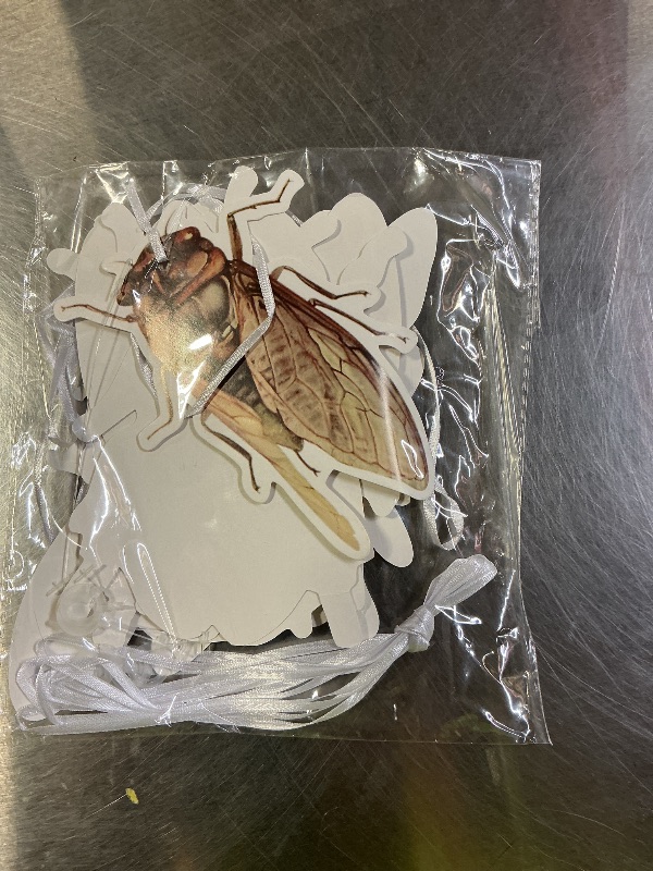 Photo 1 of 12 Pcs Bug Hanging Swirls 2 Pcs Insect Banners for Bug Party Decorations Insect Birthday Party Supplies