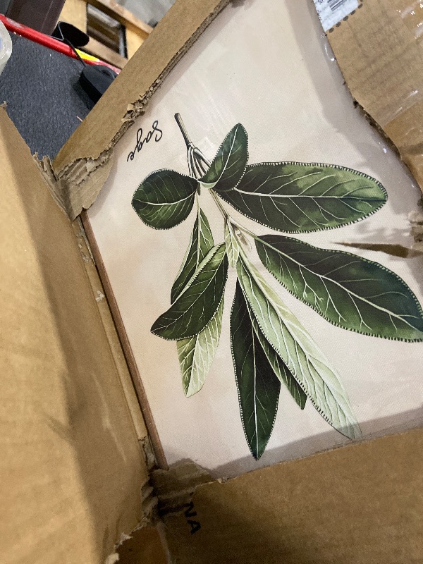 Photo 1 of (Cut surface of the frame when opening the box)Framed Sage Green Botanical Wall Art for Kitchen, Set of 6 Rustic Herb Canvas Prints Artwork for Modern Farmhouse Walls, Herbs Spices Plant Leaf Pictures for Dining Room Living Room Bedroom Wall Decor