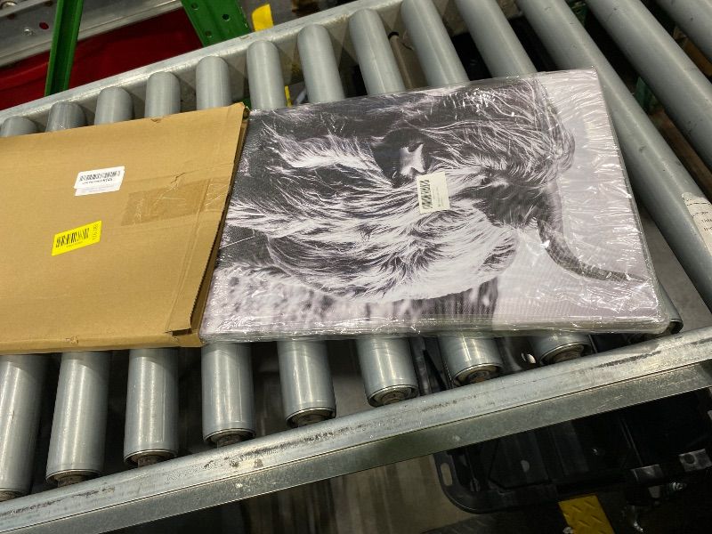 Photo 1 of **SEE CLERK NOTES AND PHOTOS*Country Highland Cow Pictures Wall Decor Farmhouse Longhorn Animal Wall Art Western Decor for Living Room Kitchen Bedroom Vintage Yak Canvas Painting Cattle Poster Artwork Home Decoration 12x16"