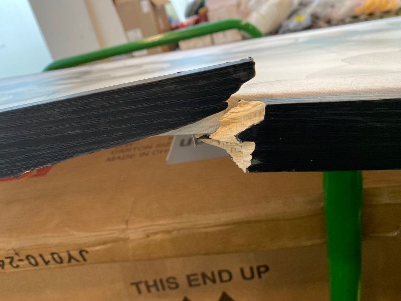 Photo 1 of ***MAJOR DAMAGE*** Canvas art