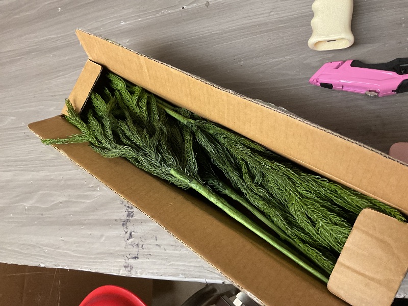 Photo 1 of 16 Pcs Real Touch Norfolk Pine Branch -18" Artificial Christmas Green Plants Branches Faux Greenery Stem Fake Cedar Pine Picks for Vase DIY Crafts Garland Wreath Xmas Indoor Outdoor Home Decor