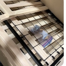 Photo 1 of Colby 4-in-1 Convertible Crib with Trundle Drawer in Washed Natural, Greenguard Gold Certified,