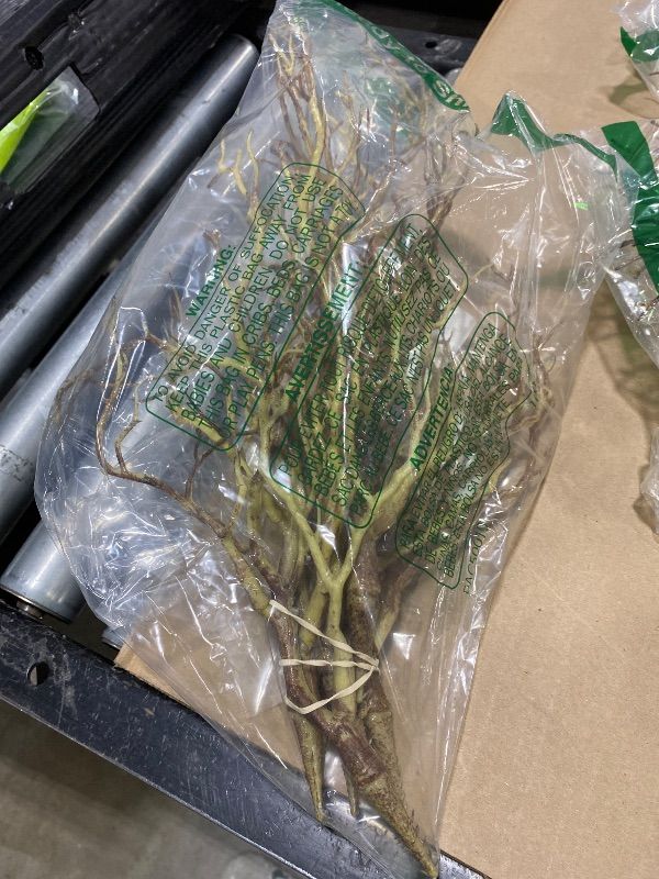 Photo 1 of Chuangdi 8 Pieces Dried Tree Branches Artificial Antler Branch Manzanita Branches Plastic Tree Branches for Decoration for Christmas Party Various Festivals Home Hotel Decoration (Coffee)