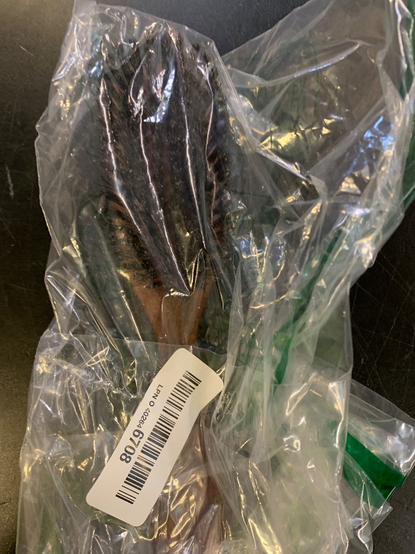 Photo 1 of 100% Pure Calcutta Boar Bristle Hairbrush for Natural Healthy Hair, Stiff Bristle, Made in Germany's Black Forest