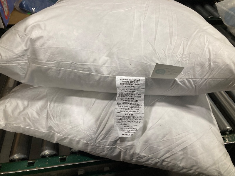 Photo 1 of 24x24inch 2Pack Euro Pillows