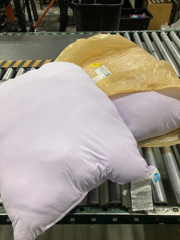 Photo 1 of 2 Pack Lavender Pillows 
