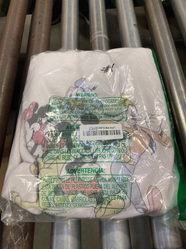 Photo 1 of Disney Men's Mickey & Friends Running Group Shot Pull Over Hoodie - White - Medium