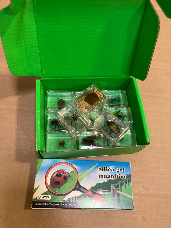 Photo 1 of 12 Pcs Insect Resin Specimen, Real Bugs Collection Kit for Kids Taxidermy Toy Science Class Education Insect in Resin Specimen Gift Home Decoration