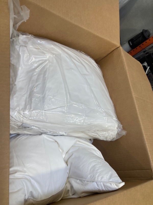 Photo 1 of 2 large pillows