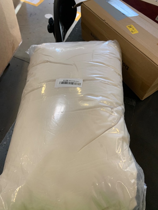 Photo 1 of PERFEMET Girls Comforter Set Twin Size Beige Cream 5 Pieces Boho Pom Pom Bed in A Bag with Sheets Ultra Soft Lightweight Fluffy Beige Solid Bedding Set Matching 2 Pillowcases(Beige Cream, Twin)