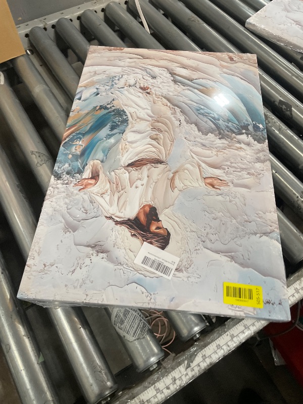 Photo 1 of canvas art