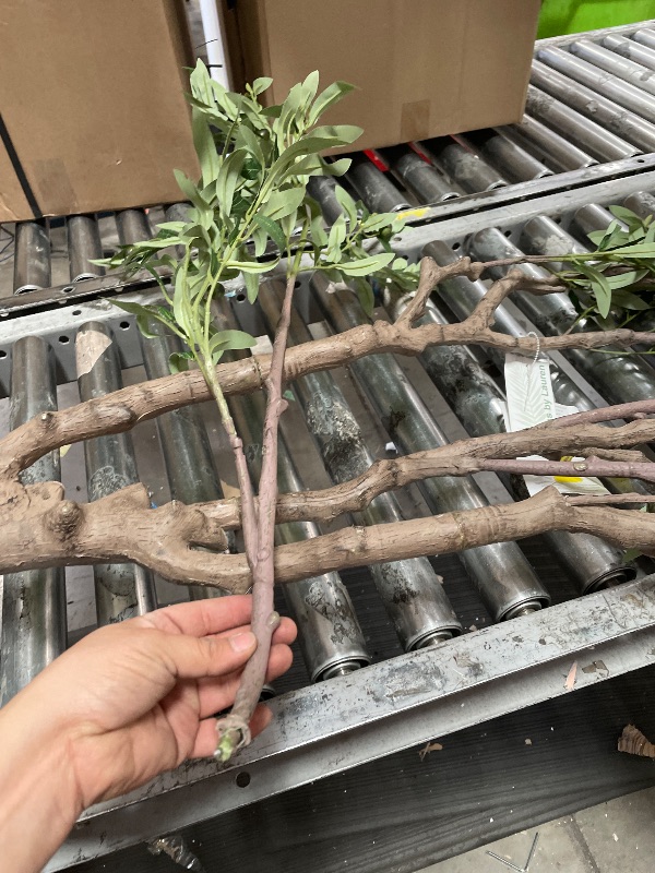 Photo 1 of
67.75'' Artificial Olive Tree in a White Fishbowl Planter
Model:VHX174245