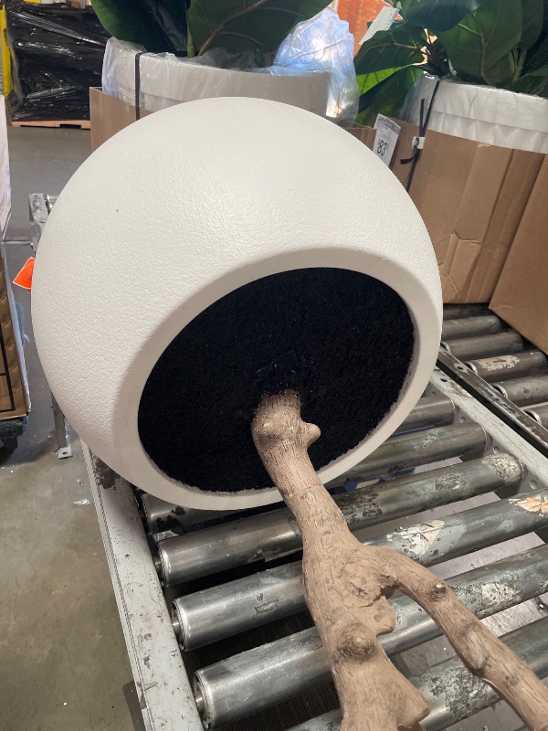 Photo 1 of
67.75'' Artificial Olive Tree in a White Fishbowl Planter
Model:VHX174245