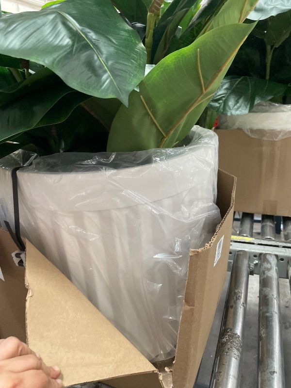 Photo 1 of 44IN Costa Farms Fiddle Leaf Fig Tree Live Plant, Little Ficus Indoor Plant in Modern Decor Planter, Houseplant Potted in Potting Soil, Birthday, Housewarming, Home Decor, 1-Foot Tall