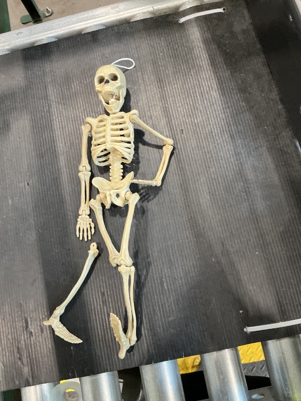 Photo 1 of * detached leg* Crafty 16" Halloween Skeleton,Full Body Skeleton with Posable Movable Joints for Haunted House Props Decorations