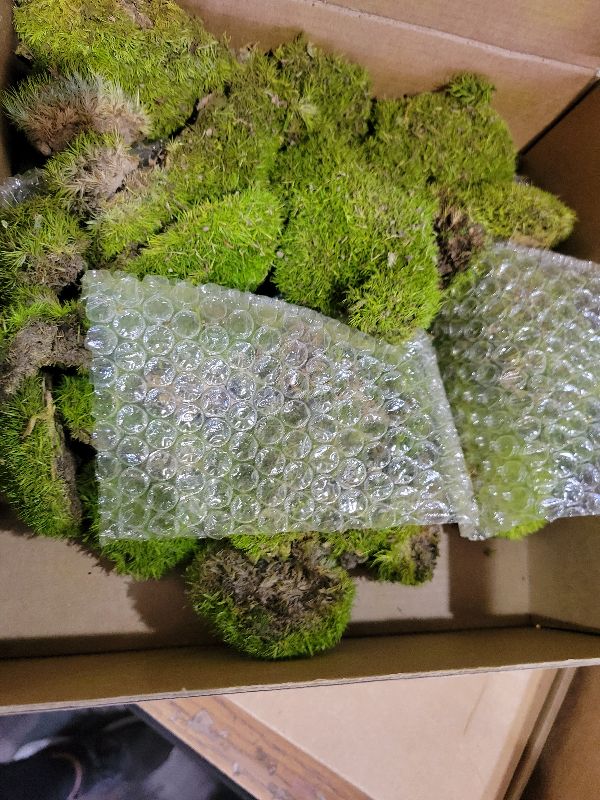 View 2 of 1.5 Sq. Ft. Preserved Moss Pole Decorative Moss for Crafts, Art, Wall Decor,Yellow Green Moss