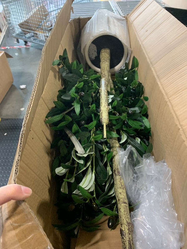 Photo 1 of ***IT HAS A SMALL DAMAGE TO THE FRUIT BOWL*******VIVATREES Olive Trees Artificial Indoor, 6FT Tall Faux Olive Tree with White Tall Planter, Artificial Plants with Natural Wood Trunk and Lifelike Fruits for Home Office Decor