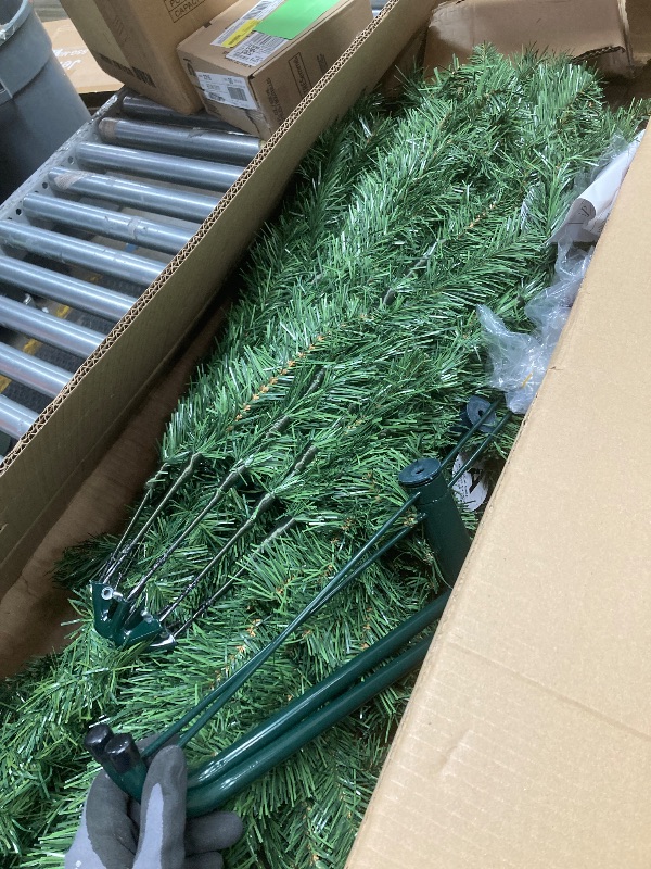 Photo 1 of *Size Unknown* Christmas Tree, Green