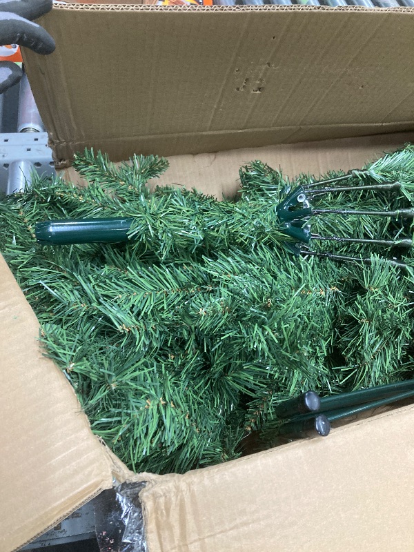 Photo 1 of *Size Unknown* Christmas Tree, Green